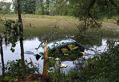 Automobilis pelkėje
