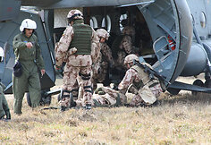 PAG-11 pratybos