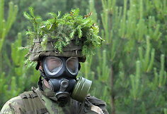 Pratybos