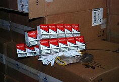 Kontrabandinių cigarečių sandėlis