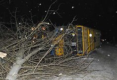 Prie&scaron; apvirsdamas autobusas nulaužė medį