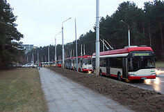 Plikledis Saulėtekyje