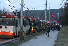 Plikledis Vilniuje