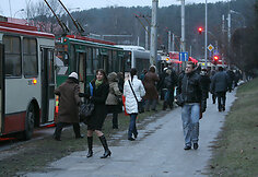 Plikledis Vilniuje