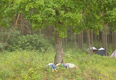 Miegas