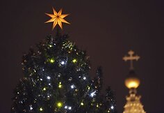 Vatikaną papuošė žaliaskarė.