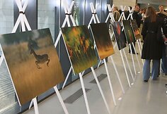 Susirinkusieji į lietuviško „National Geographic“ versijos pristatymą ne tik išgirdo įdomybių apie žurnalo leidybos virtuvę, bet ir galėjo apžiūrėti kada nors jame publikuotų nuotraukų parodą.