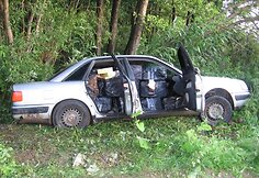 Kontrabanda, kurią sulaikė pasieniečiai.
