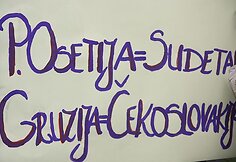 Piketuotojų plakatas