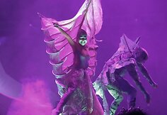 &bdquo;Sensation&ldquo; organizatoriai sužadino &scaron;okių muzikos mėgėjų smalsumą.