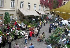 Rudeninė mugė