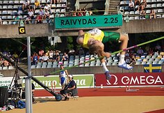 Raivydas Stanys