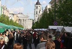 Europos šalių mugės akimirka