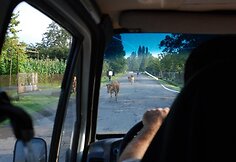VGTU Turistų klubo narių kelionė į Gruziją