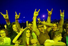 Festivalio publika