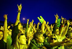 Festivalio publika