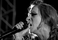 Svarbiausių festivalio svečių „Guano Apes“ koncertas