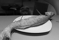 Egzistencinis liūdesys pagal... Gintarę