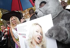 Pamela Anderson spaudos konferencijoje Toronte (Kanada)
