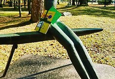 Hasmik Barseghyan Varnaitienė įvairiose Lietuvos vietose palieka po knygą-staigmeną.