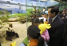 Būriai vaikų lankosi zoologijos sode, norėdami pamatyti pandas, atkeliavusias iš Taivano.