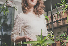 Aistė Virketė