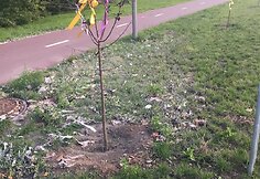 Po liūties 