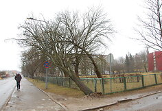 Vėtra Tel&scaron;iuose