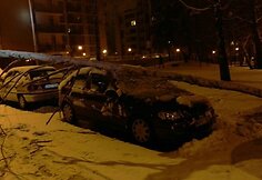 Ant automobilio užvirtęs medis