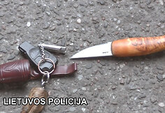 Sulaikymo operacija