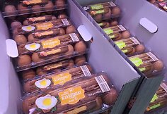 Kiaušiniai parduotuvių lentynose