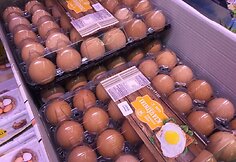 Kiaušiniai parduotuvių lentynose