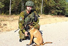 Tarnybiniai &scaron;unys