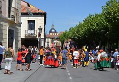 Alcalos miesto &scaron;ventė