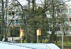 Bundanti gamta praskaidrina nuotaiką.