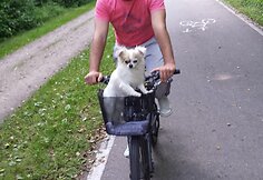 Pirma kelionė dviračiu