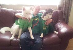 Kęstutis ir jo kompanija serga už Lietuvą!