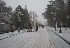 Sniegas aplankė ir Palangą.