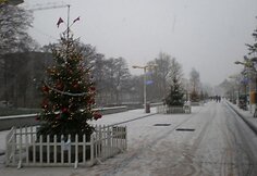 Sniegas aplankė ir Palangą.