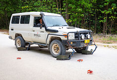 Krabus saugantis „Toyota Land Cruiser“