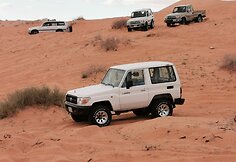 Saudo Arabijos automobiliai