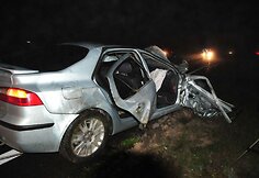 Briedis prie Vilniaus sukėlė masinę avariją