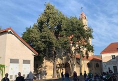 VSAT pareigūnai i&scaron; Vilniaus pasienio rinktinės, Aviacijos valdybos, Pasieniečių mokyklos ir kolegomis i&scaron; policijos startavo į intelektualų pažinimo ralį. Juos i&scaron;lydėjo kunigas Algirdas Toliatas.
