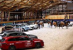 &bdquo;Metų automobilis 2025 m.&ldquo; konkurso dalyviai arklio jėgas skaičiavo &bdquo;Royal horse resort&ldquo;