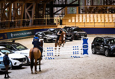 &bdquo;Metų automobilis 2025 m.&ldquo; konkurso dalyviai arklio jėgas skaičiavo &bdquo;Royal horse resort&ldquo;