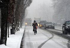 Vašingtoną užgriuvo sniegas
