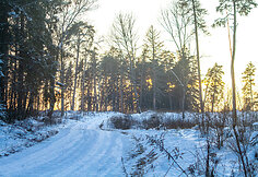 „Biorina Winter Rally Rokiškis 2026“ greičio ruožų vaizdai