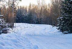 „Biorina Winter Rally Rokiškis 2026“ greičio ruožų vaizdai