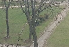 Dviratis medyje Vilniuje, Kalvarijų gatvėje