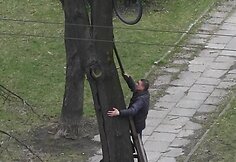 Dviratis medyje Vilniuje, Kalvarijų gatvėje